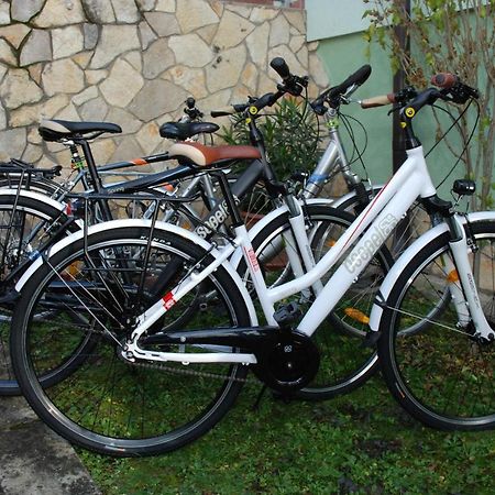 Zöldike Vendégház Kaposvár Exterior foto